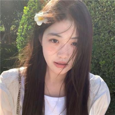 追鹰日记